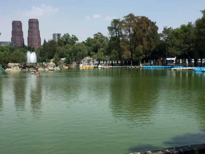 Another day, but a familiar location: Chapultepec Park