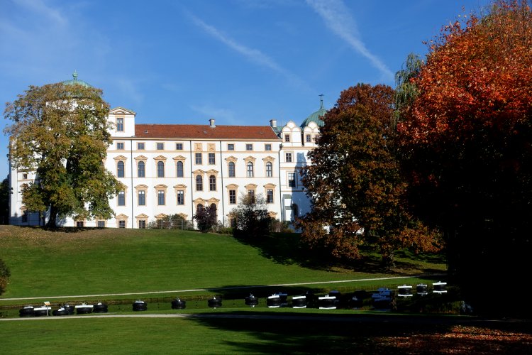 The site of Celle Castle was originally occupied by a defensive stronghold (in German, a 'Burg')