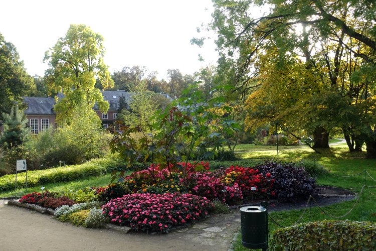 The adjacent botanical garden is part of the university. It is open to the public and is free of charge.