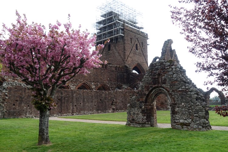 I had time to visit two Historic Scotland sites on my final day. The first was Sweetheart Abbey.