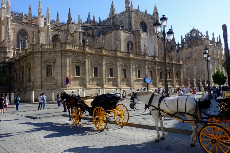 Seville Cathedral is one of the largest in the world